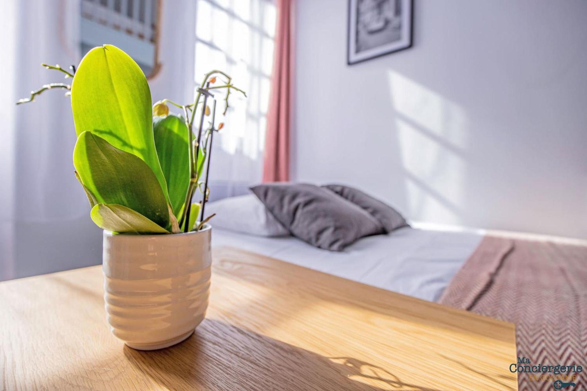 Duplex Champetre : Gare, Marche, Hypercentre Apartman Toulouse Kültér fotó
