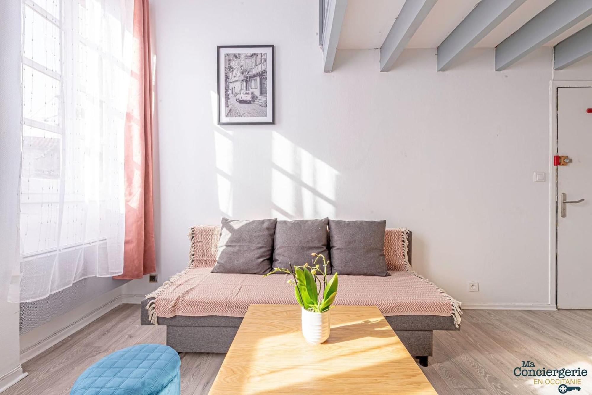Duplex Champetre : Gare, Marche, Hypercentre Apartman Toulouse Kültér fotó