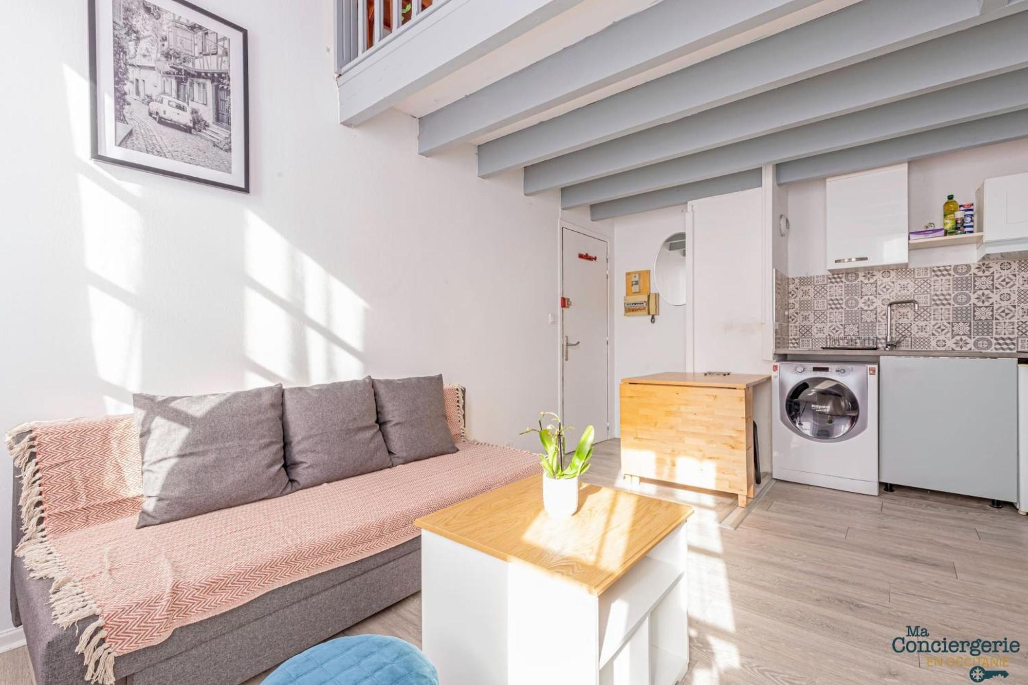 Duplex Champetre : Gare, Marche, Hypercentre Apartman Toulouse Kültér fotó