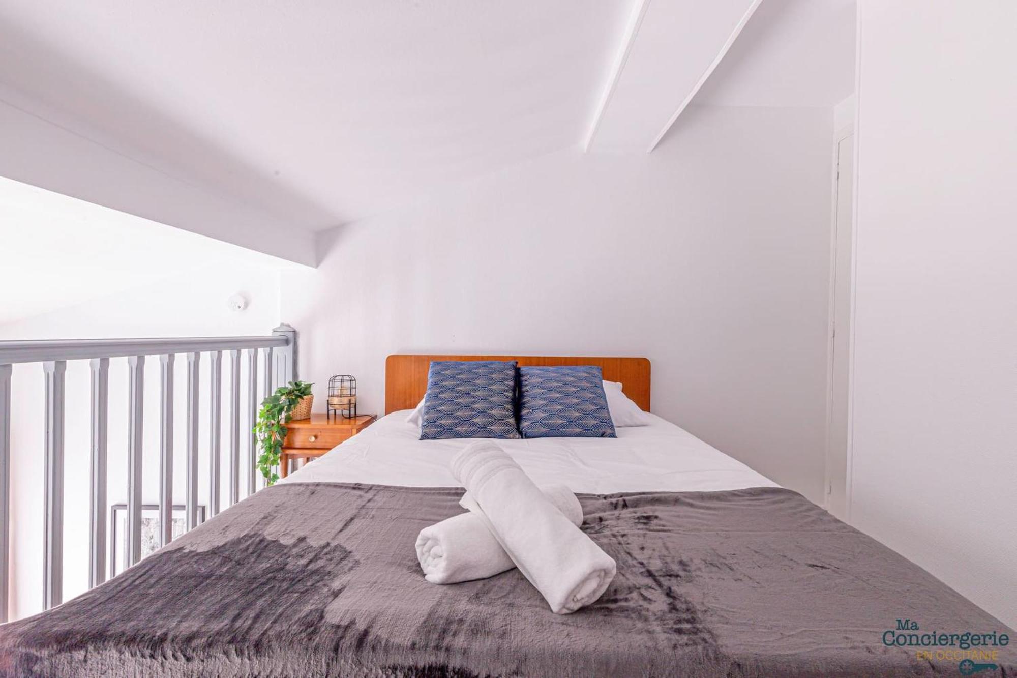 Duplex Champetre : Gare, Marche, Hypercentre Apartman Toulouse Kültér fotó